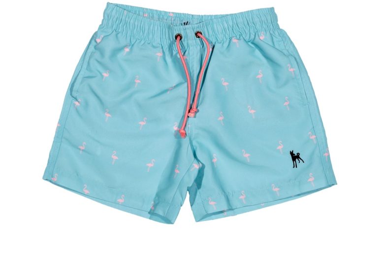 The Salinas (Pups) Kid's Swim Shorts - Buy Swimwear Online - Podenco ...